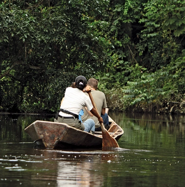 Amazon Jungle