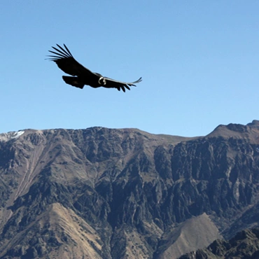 Colca Canyon