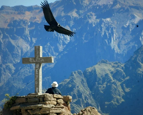 Colca Canyon Tours