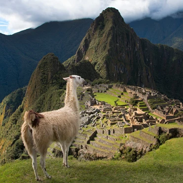 Machu Picchu View