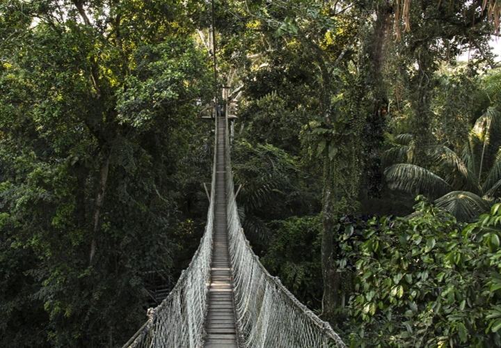 Amazon Guides Field Station byInkaterra