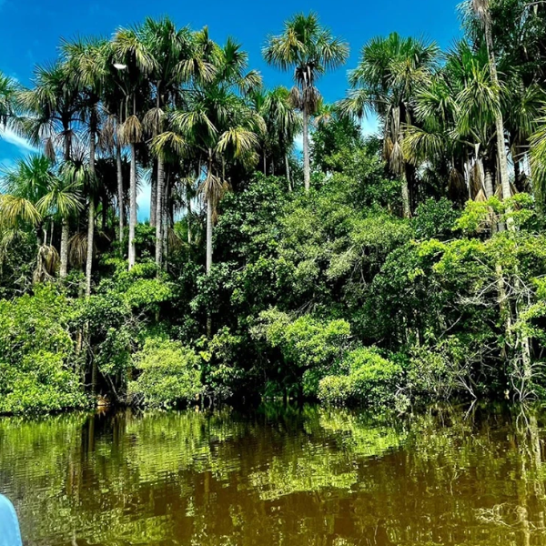 The Beautiful Incan Empire