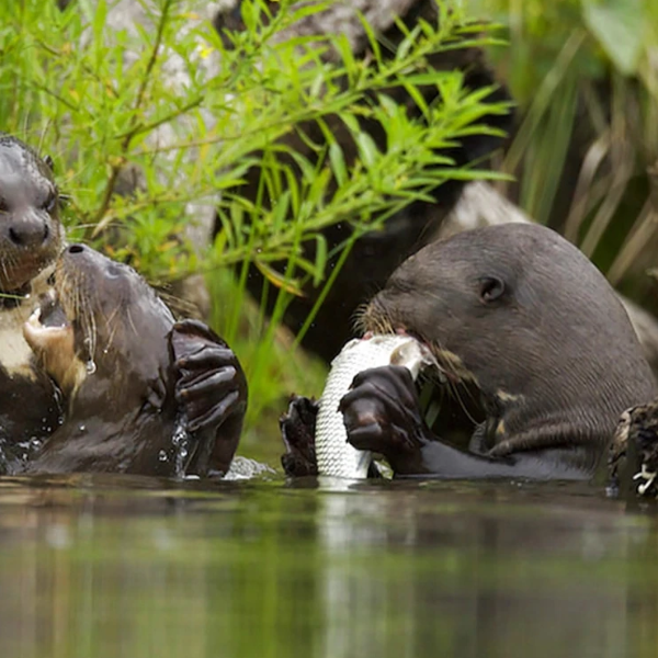 Discovering the Sacred Routes of the Incas