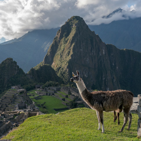 Discover Cusco 4 Days / 3 Nights